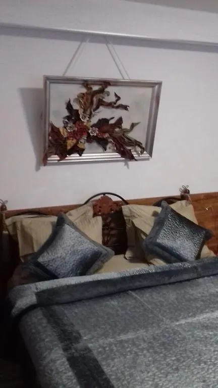 Central Rooms 4 Rent Bükreş Daire